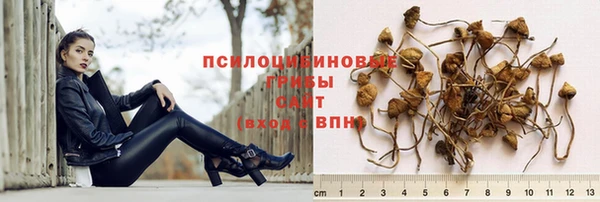 СК Покров