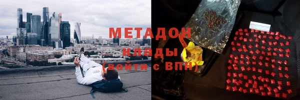индика Пестово