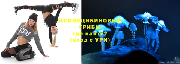 СК Покров
