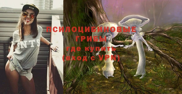 СК Покров