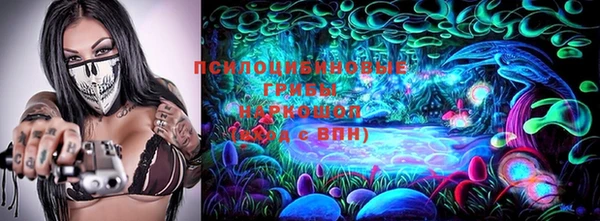 СК Покров