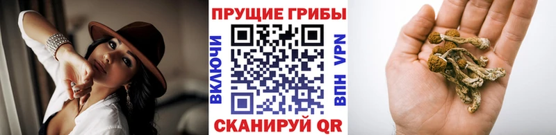 Галлюциногенные грибы прущие грибы  гидра ССЫЛКА  Бугуруслан 