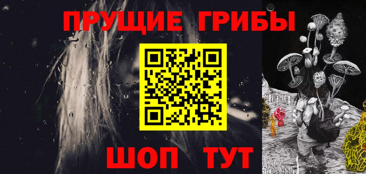 Галлюциногенные грибы Psilocybine cubensis Бугуруслан