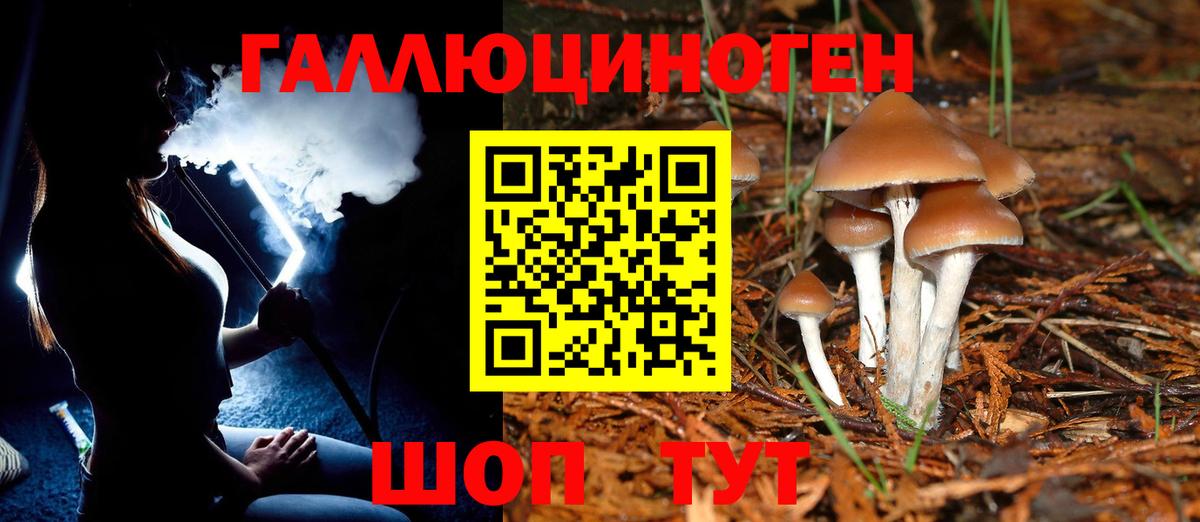 Псилоцибиновые грибы GOLDEN TEACHER Бугуруслан